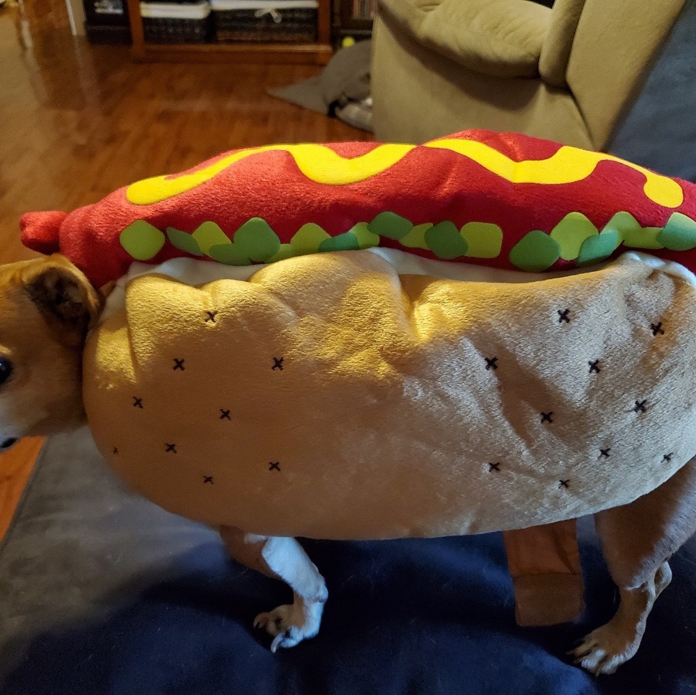 Collet dog costume